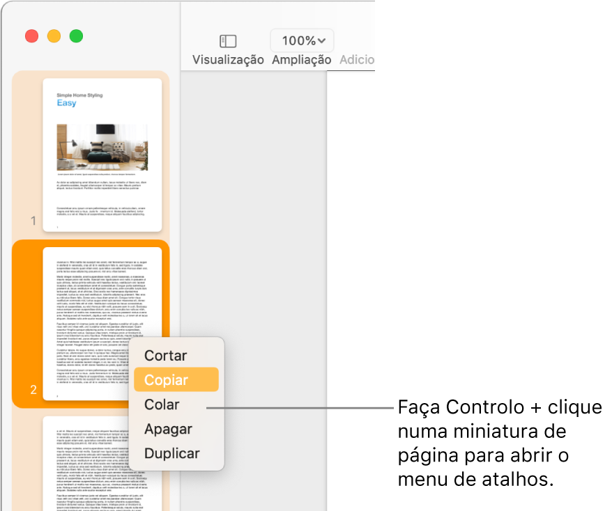 Vista de miniaturas das páginas com uma miniatura selecionada e o menu de atalhos aberto.