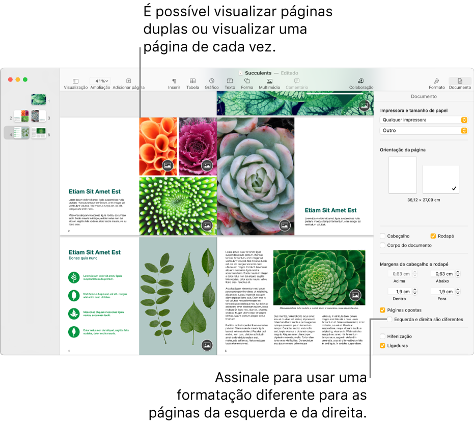 A janela do Pages com miniaturas de páginas e páginas do documento visualizadas como páginas duplas. A opção “Esquerda e direita são diferentes” está desassinalada na barra lateral Documento à direita.