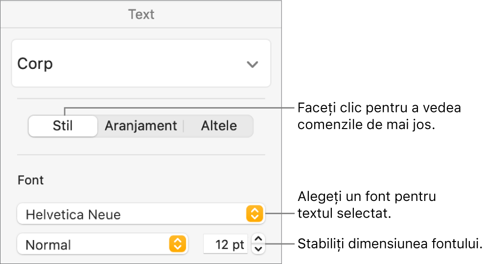 Comenzi de text din secțiunea Stil a barei laterale Format pentru configurarea fontului și a dimensiunii fontului.