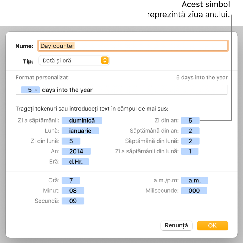 Fereastra de formatare personalizată a celulei, cu comenzi pentru alegerea formatării personalizate a datei și orei.