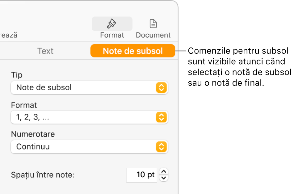 Panoul Note de subsol afișează meniuri pop-up pentru Tip, Format, Numerotare și spațiu între note.