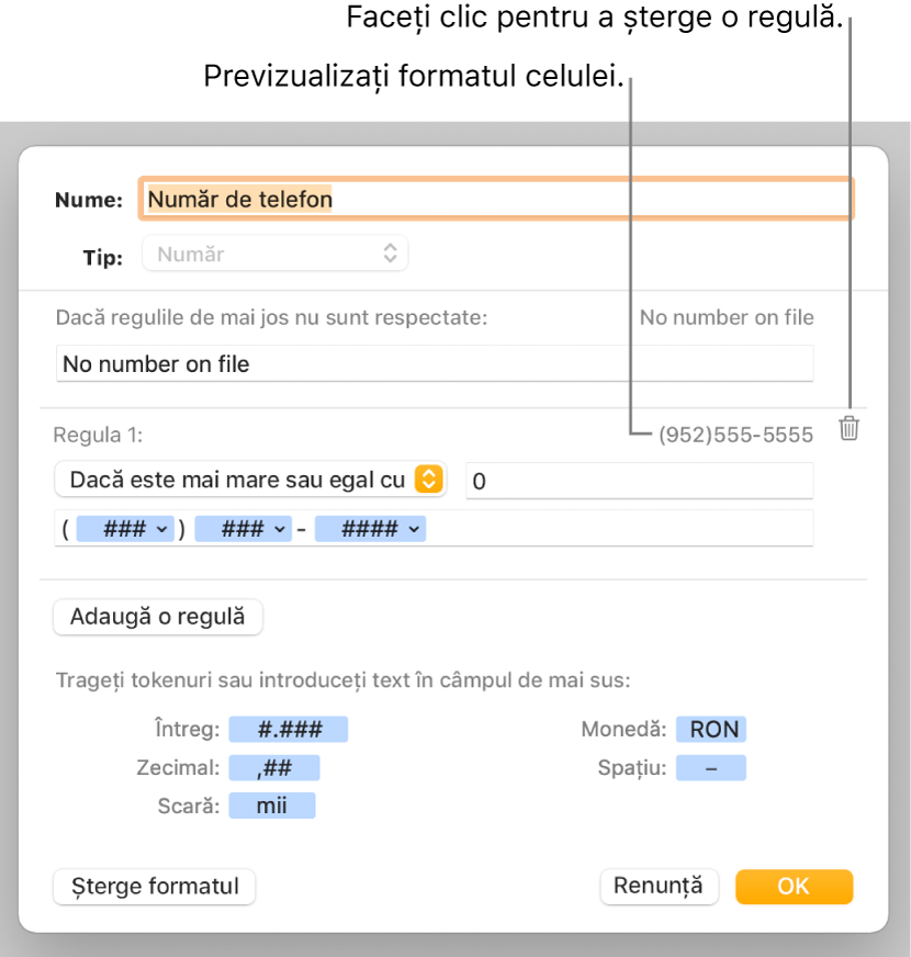 Fereastra de formatare personalizată a celulei, cu comenzi pentru alegerea formatării personalizate a numărului.