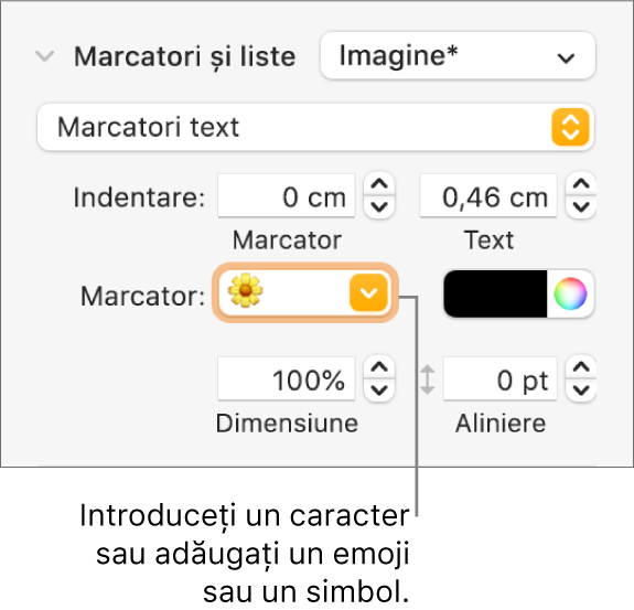 Secțiunea Marcatori și liste din bara laterală Format. Câmpul Marcatori afișează un emoji floare.