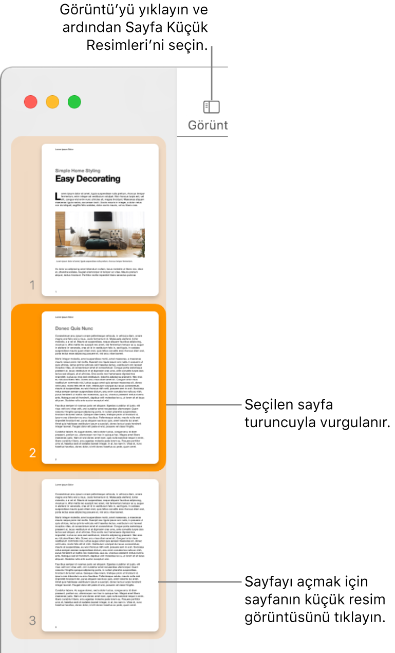Sayfa Küçük Resimleri görüntüsü açık ve seçili sayfa koyu turuncu ile vurgulanmış Pages penceresinin sol tarafındaki kenar çubuğu.