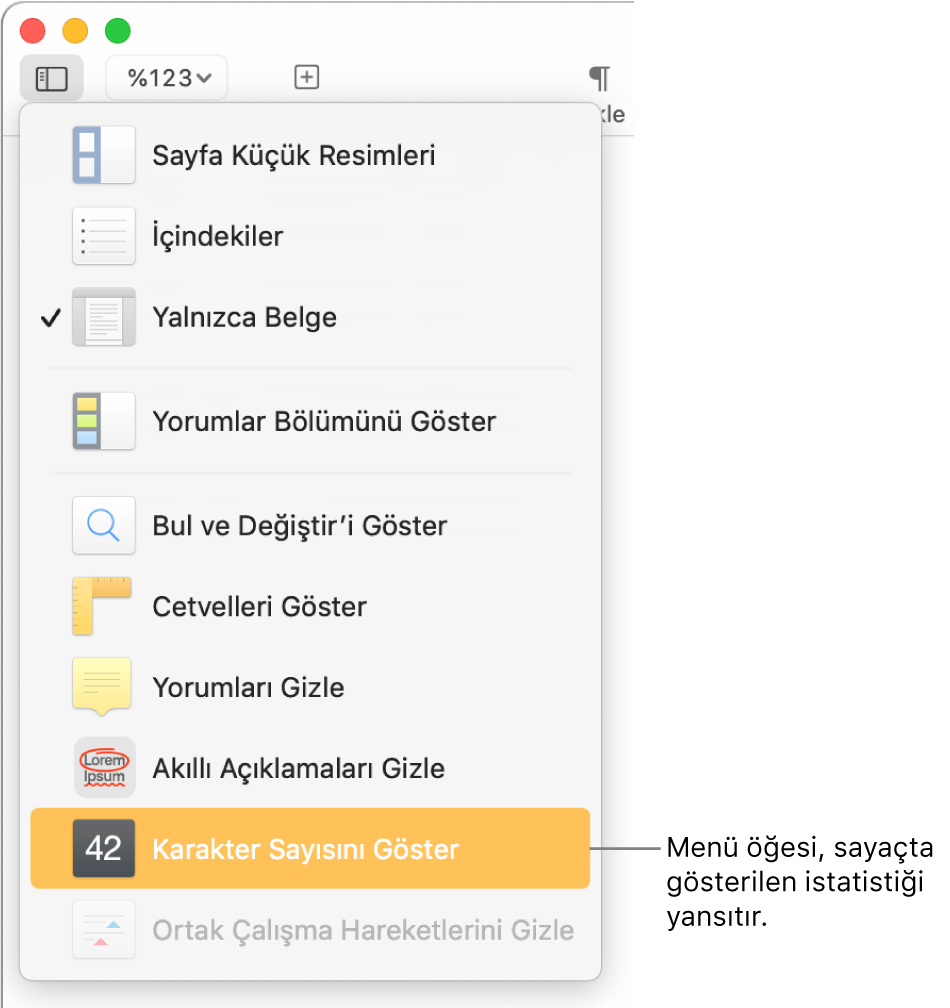 En alt taraftaki Karakter Sayısını Göster ile birlikte açık Görüntü menüsü.