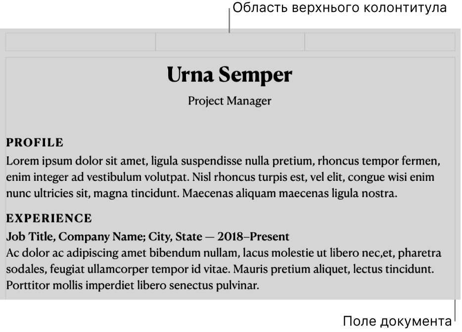 Макет із областю колонтитулів і полями документа.