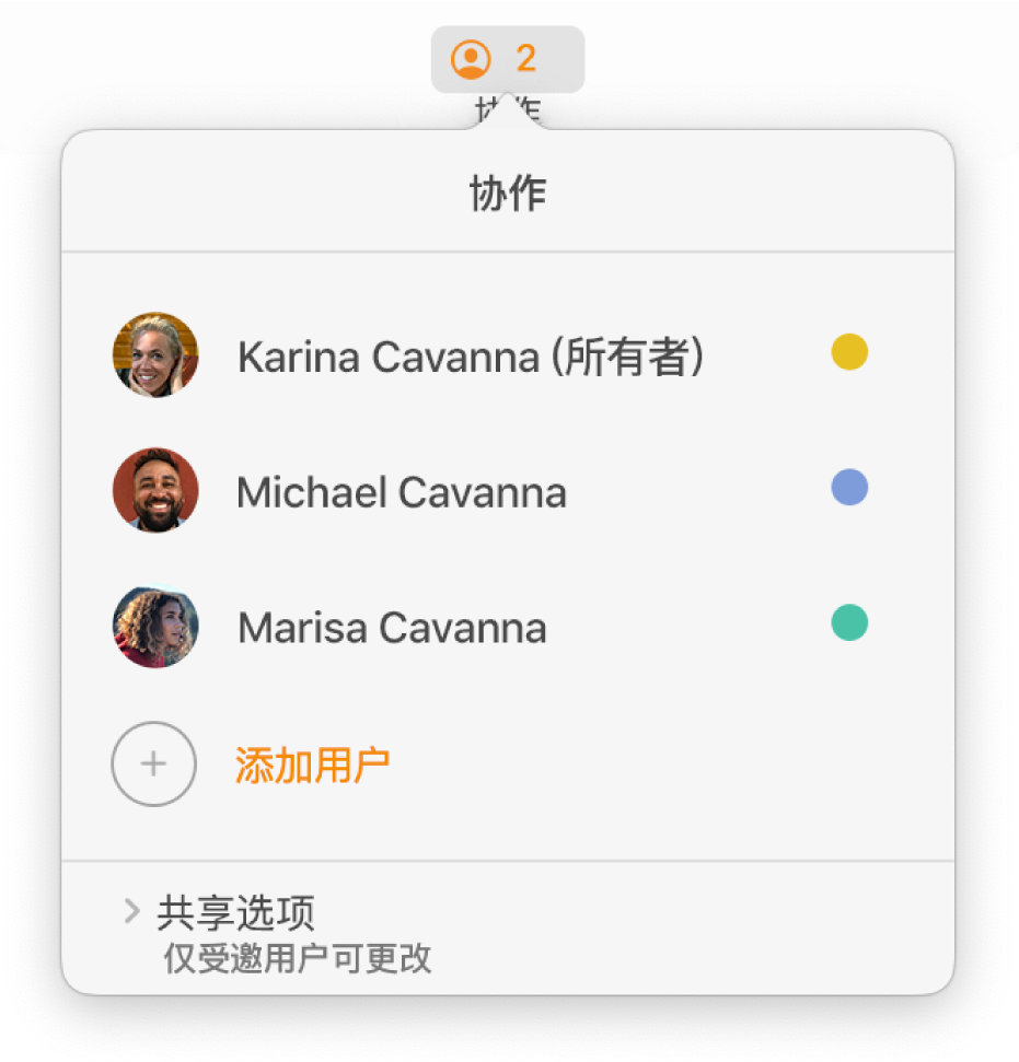 “协作”菜单，显示协作处理文稿的用户的名字。“共享”选项位于名字下方。
