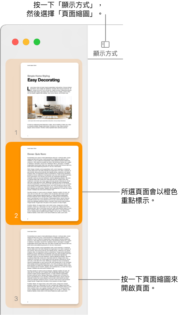 Pages 視窗左側的側邊欄中開啟了「頁面縮圖」顯示方式，所選擇的頁面以深橙色重點標示。