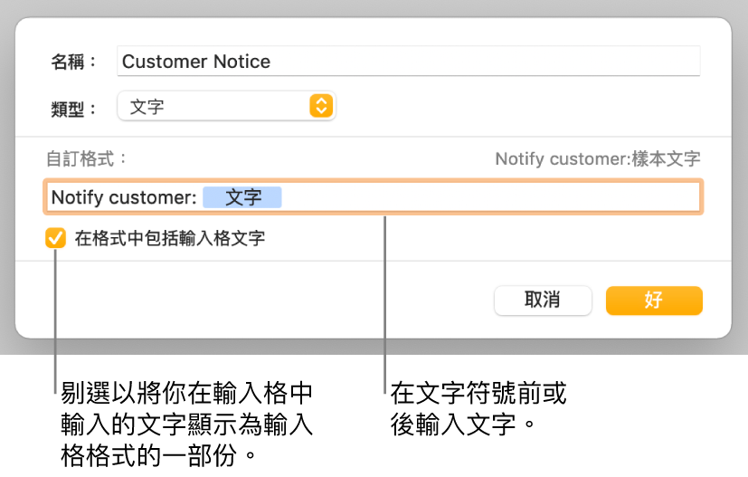 帶有控制項目的自訂輸入格格式視窗，用來選擇自訂文字格式。