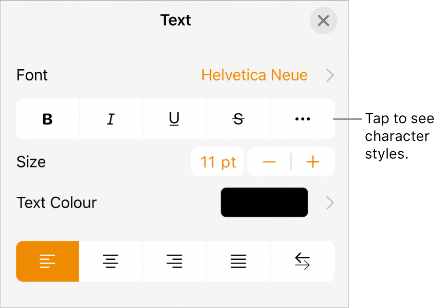 The Format controls with Bold, Italic, Underline, Strikethrough and More Text Options buttons.