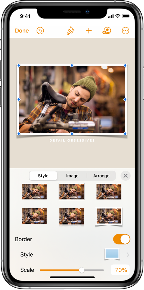 The Format controls for changing the size and appearance of the selected image. Style, Image, and Arrange buttons are across the top of the controls.