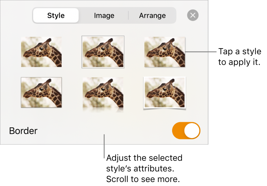 The Style tab with image styles at the top and the Style Options button at the bottom.