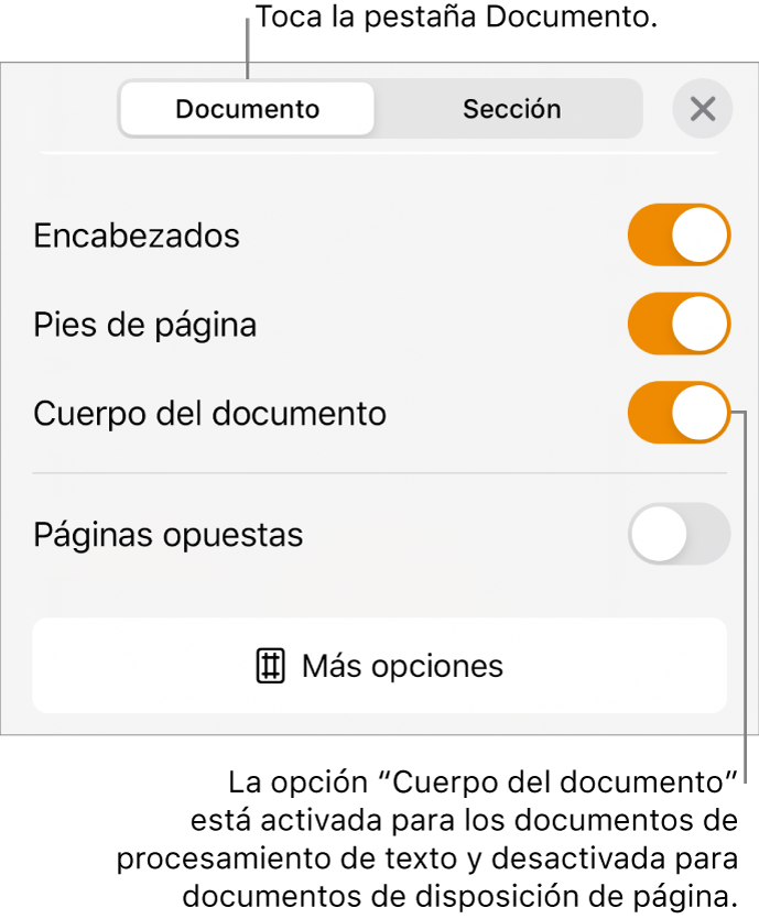 Los controles de formato del Documento con “Cuerpo del documento” activado cerca de la parte inferior de la pantalla.