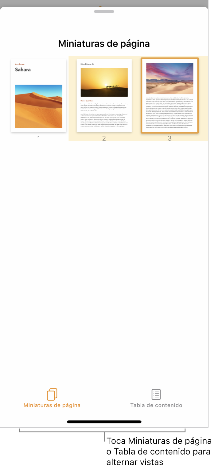 Visualización de miniaturas de página con imágenes en miniatura de cada página. Los botones “Miniaturas de página” y “Tabla de contenido” están en la parte inferior de la pantalla.