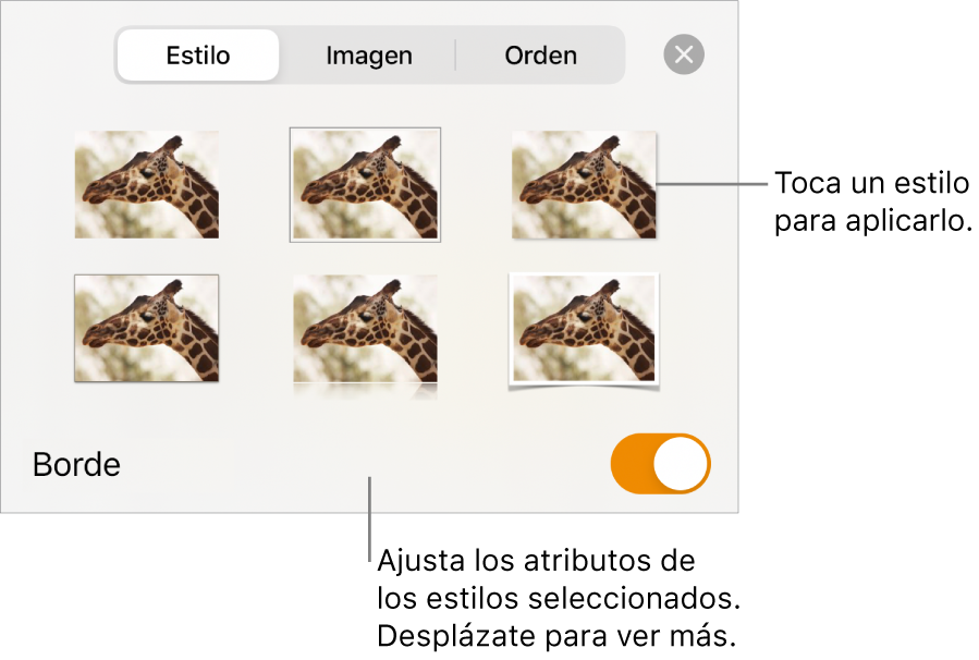 La pestaña Estilo del menú Formato con estilos de objeto en la parte superior y un control debajo para cambiar el borde.