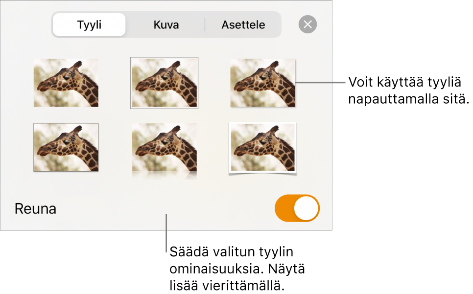 Tyylit-välilehti, jossa ylhäällä näkyy kuvatyylejä ja alhaalla Tyylivalinnat-painike.