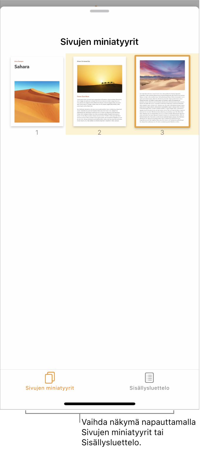 Sivujen miniatyyrinäkymä, jossa on miniatyyrikuva jokaisesta sivusta. Sivuminiatyyri- ja sisällysluettelopainikkeet ovat ruudun alareunassa.