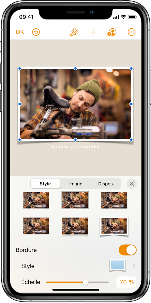 Les contrôles de format pour modifier la taille et l’apparence de l’image sélectionnée. Les boutons Style, Image et Disposition se trouvent en haut des commandes.