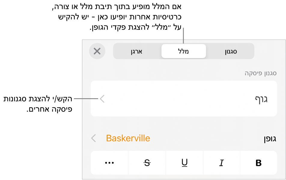 תפריט ״עיצוב״ עם כלי בקרה של מלל להגדרת סגנונות, גופן, גודל וצבע עבור פיסקאות ותווים.