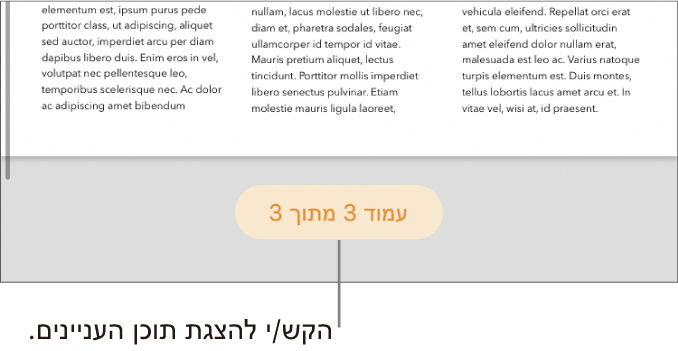 מסמך פתוח, עם ספירת העמודים ״3 מתוך 3״ במרכז חלקו התחתון של המסך.