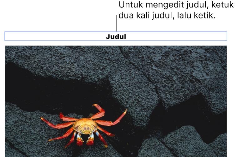 Judul placeholder, “Judul”, muncul di bawah foto; kerangka biru di sekitar bidang judul menampilkan bahwa objek dipilih.