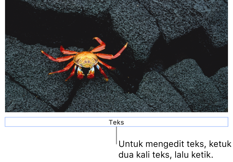 Teks placeholder, “Teks”, muncul di bawah foto; kerangka biru di sekitar bidang teks menampilkan bahwa objek dipilih.