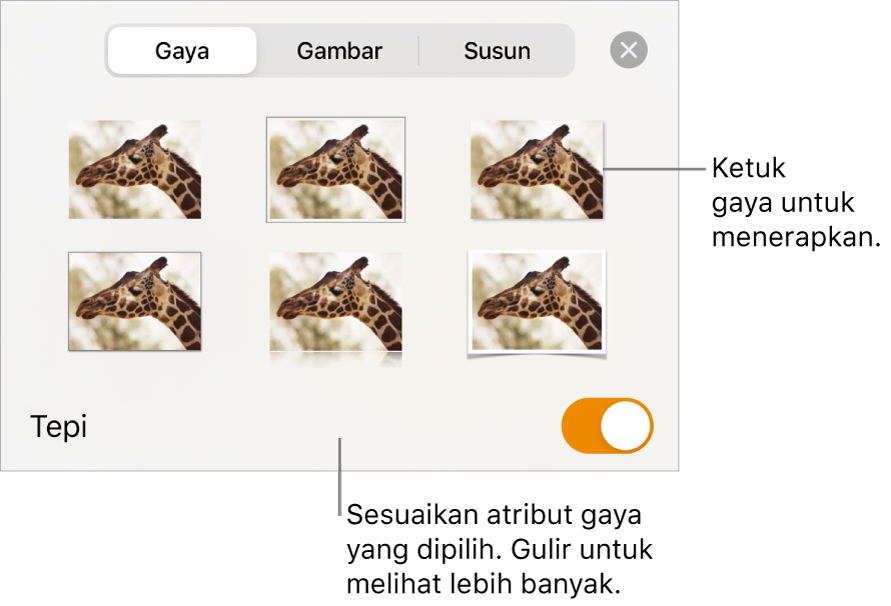 Tab Gaya menu Format dengan gaya objek di bagian atas dan kontrol di bawahnya untuk mengubah tepi.