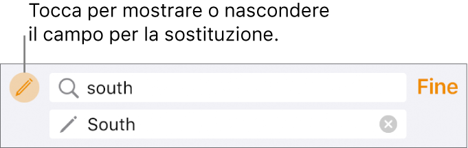 Controlli per la ricerca e la sostituzione del testo.