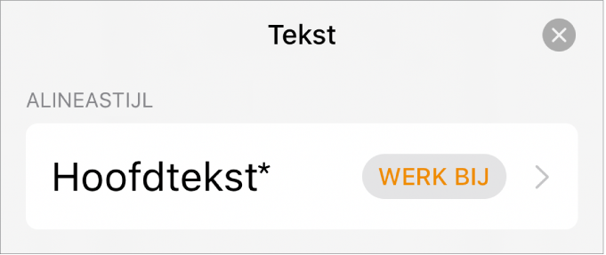 Een alineastijl met een sterretje ernaast en rechts de knop 'Werk bij'.