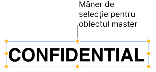 Un obiect cu mânere de selecție.