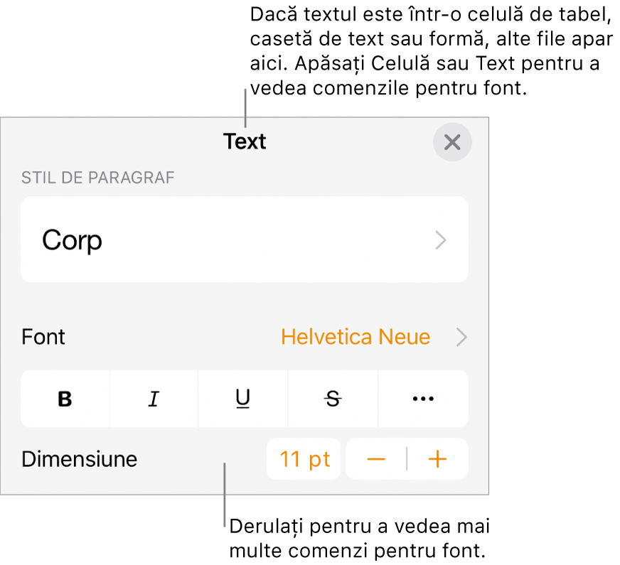 Comenzi text din meniul Format pentru configurarea paragrafelor și a stilurilor, fonturilor, dimensiunii și culorii caracterelor.