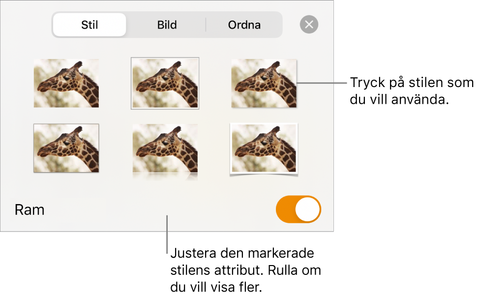 Fliken Stil med bildstilar överst och knappen Stilalternativ längst ned.