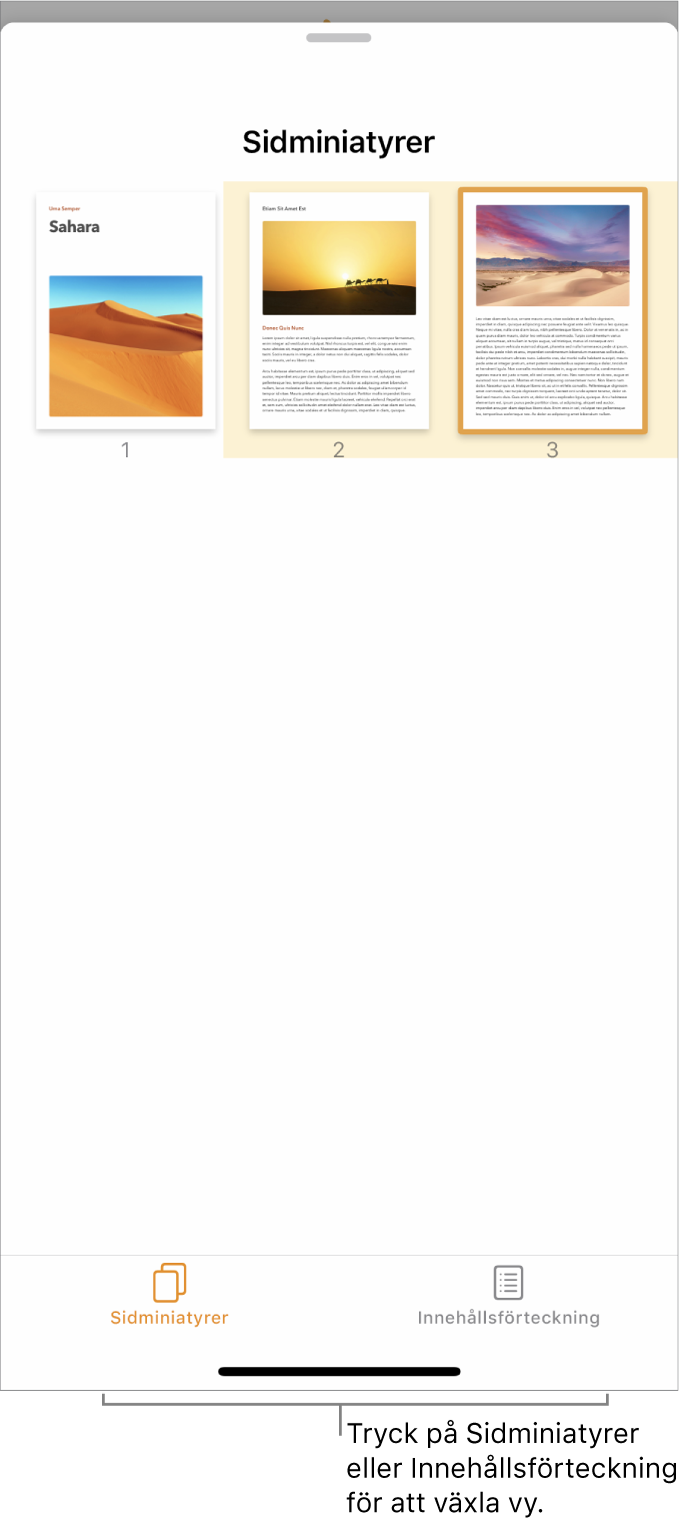 Sidminiatyrvyn med sidminiatyrer för varje sida. Längst ned på skärmen finns knapparna Sidminiatyrer och Innehållsförteckning.