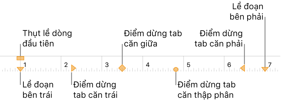 Thước hiển thị các điều khiển cho lề trái và lề phải, thụt lề dòng đầu tiên và bốn loại điểm dừng tab.