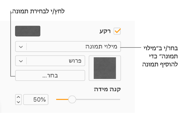 תיבת הסימון ״מילוי״ נבחרת בסרגל הצדדי והאפשרות ״מילוי תמונה״ נבחרת בתפריט הקופץ מתחת לתיבת הסימון. פקדים לבחירת תמונה, איך היא ממלאת את האובייקט וקנה המידה של התמונה, מופיעים מתחת לתפריט הקופץ. תצוגה מקדימה של התמונה מופיעה בריבוע מתחת לתפריט הקופץ ״מילוי תמונה״ לאחר שתמונה נבחרת.