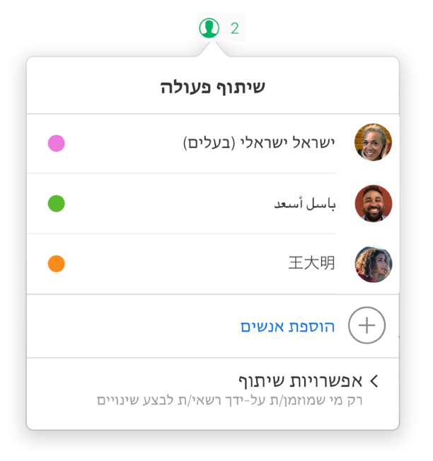 התפריט 'שיתוף פעולה' מציג את השמות של האנשים שעובדים יחד על הגיליון. אפשרויות השיתוף מוצגות מתחת לשמות.