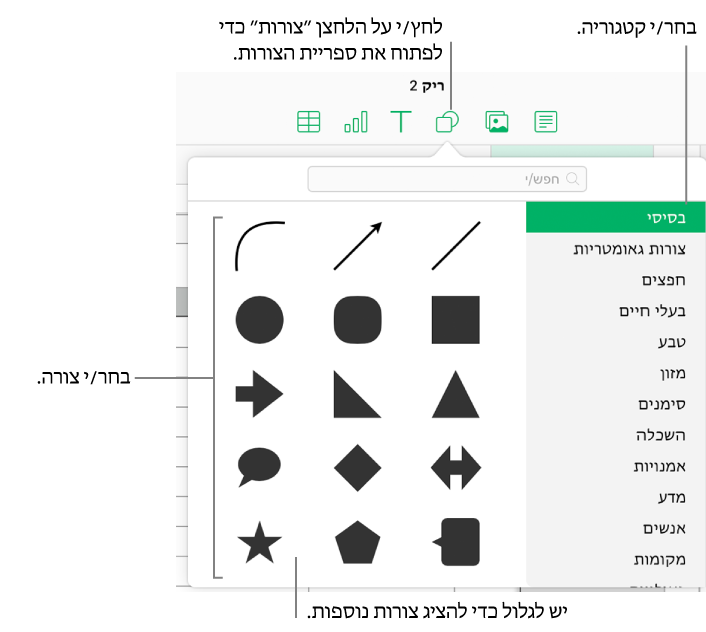 ספריית הצורות נפתחת מתחת לכפתור הצורות שבסרגל הכלים. הקטגוריה ״בסיסי״ מסומנת לבחירה מצד ימין וכמה צורות נפוצות (כולל עיגולים, ריבועים וקווים) מוצגות מצד שמאל.