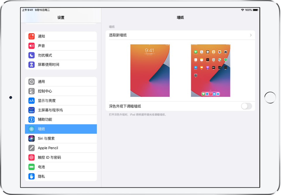 更改ipad 上的墙纸 Apple 支持