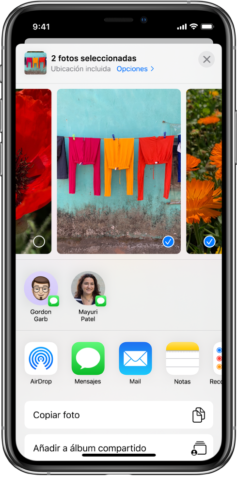 Pantalla Compartir con fotos en la parte superior. Hay dos fotos seleccionadas, que se indican con una marca de verificación blanca en un círculo azul. La fila situada debajo de las fotos muestra amigos con los que puedes compartirlas mediante AirDrop. Debajo hay otras opciones para compartir, entre las que se incluyen, de izquierda a derecha, Mensajes, Mail, “Álbumes compartidos” y “Añadir a Notas”. En la fila de abajo, se encuentran los botones Copiar, “Copiar enlace de iCloud”, “Pase de diapositivas”, AirPlay y “Añadir a álbum”.