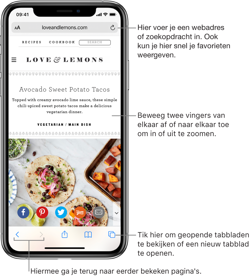 Een geopende website in Safari, met bovenin het adresveld. Onderin bevinden zich van links naar rechts de knoppen voor de vorige pagina, de volgende pagina, de deelknop, bladwijzerknop en paginaknop.