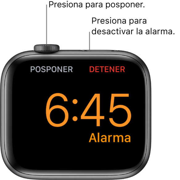 Un Apple Watch colocado de lado, la pantalla muestra una alarma activa. Debajo de la Digital Crown está la opción Posponer. La palabra "Detener" está debajo del botón lateral.