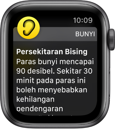 Skrin Bunyi menunjukkan paras desibel 100 dB. Amaran yang memberi peringatan kepada anda tentang pendedahan jangka panjang terhadap bunyi pada paras ini muncul di bawah.
