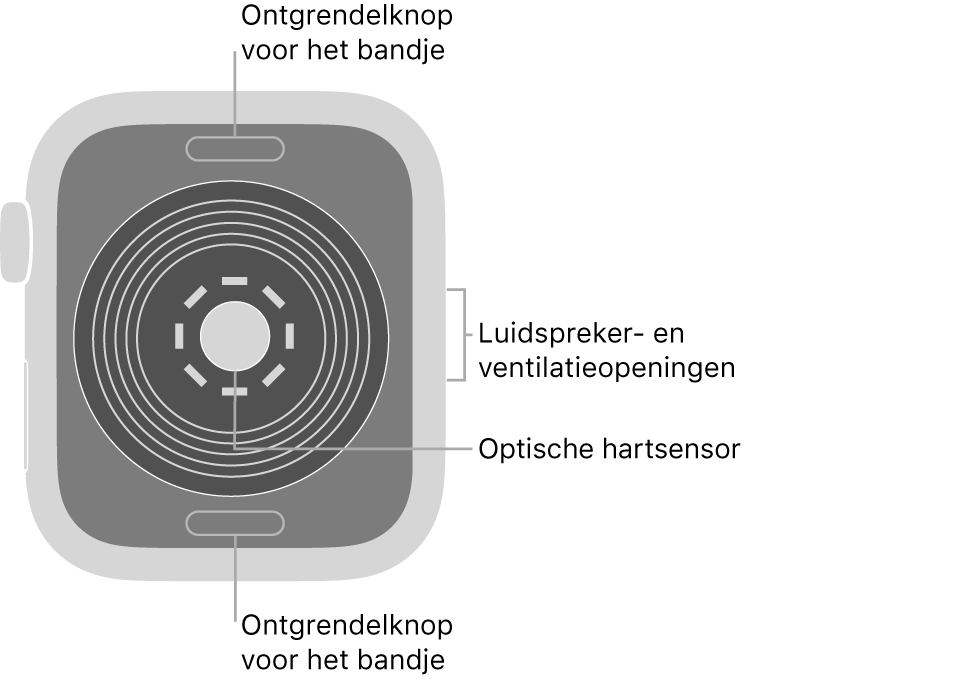 De achterkant van de Apple Watch SE, met aan de boven- en onderkant de ontgrendelknoppen van het bandje, in het midden de optische hartsensor en aan de zijkant de luidspreker- en ventilatieopeningen.
