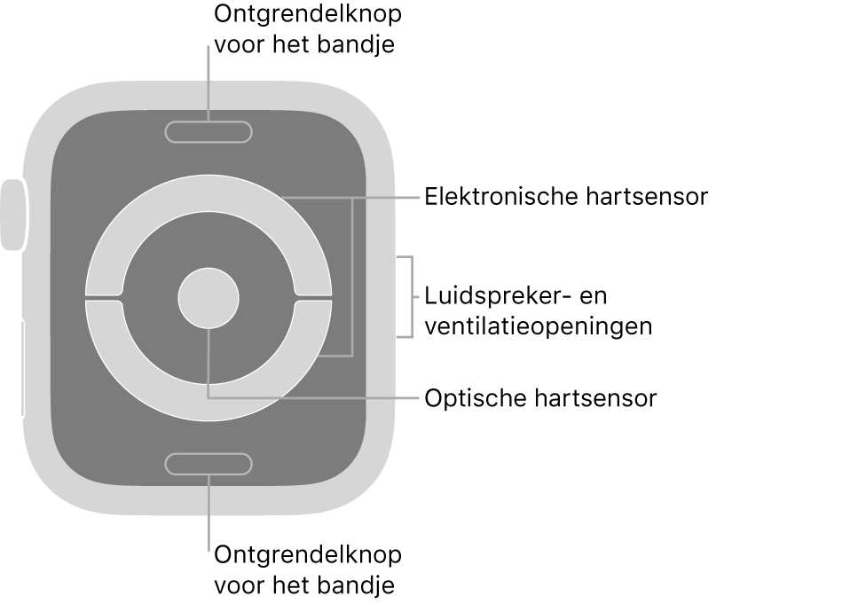 De achterkant van de Apple Watch Series 4 en Apple Watch Series 5, met aan de boven- en onderkant de ontgrendelknoppen van het bandje, in het midden de elektrische hartsensoren en optische hartsensor, en aan de zijkant de luidspreker- en ventilatieopeningen.