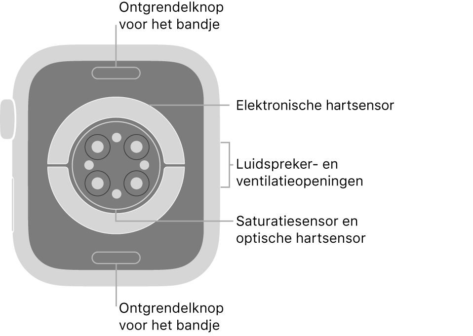 De achterkant van de Apple Watch Series 6, met aan de boven- en onderkant de ontgrendelknoppen van het bandje, in het midden de elektrische hartsensoren, de optische hartsensoren en de saturatiesensoren, en aan de zijkant de luidspreker- en ventilatieopeningen.