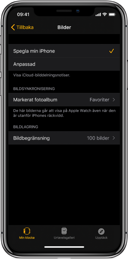 Valja Ett Fotoalbum Och Hantera Lagringsutrymmet Pa Apple Watch Apple Support