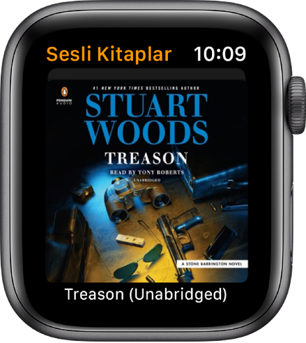Sesli kitabın kapak resmi.
