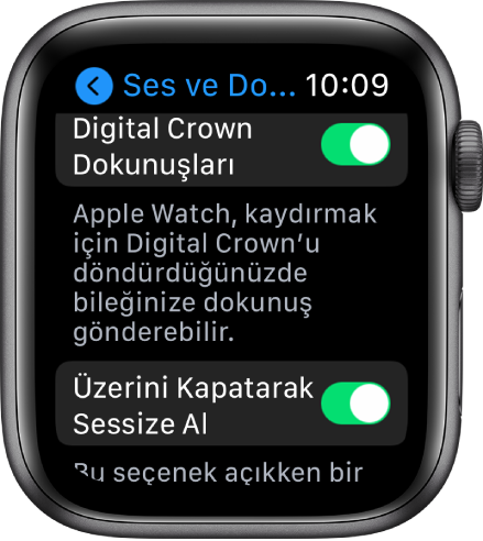 Crown Dokunuşları anahtarının açık olduğunu gösteren Crown Dokunuşları ekranı. Üzerini Kapatarak Sessize Al düğmesi altta.
