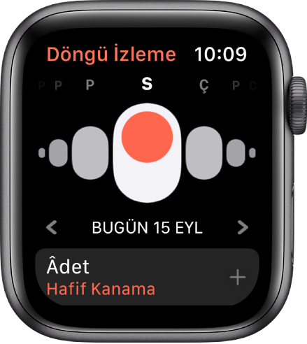 Döngü İzleme ekranı.
