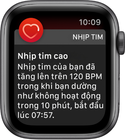 Màn hình Nhịp tim cao đang hiển thị một thông báo rằng nhịp tim của bạn đã tăng lên trên 120 BPM (nhịp/phút) trong khi bạn không hoạt động trong vòng 10 phút.
